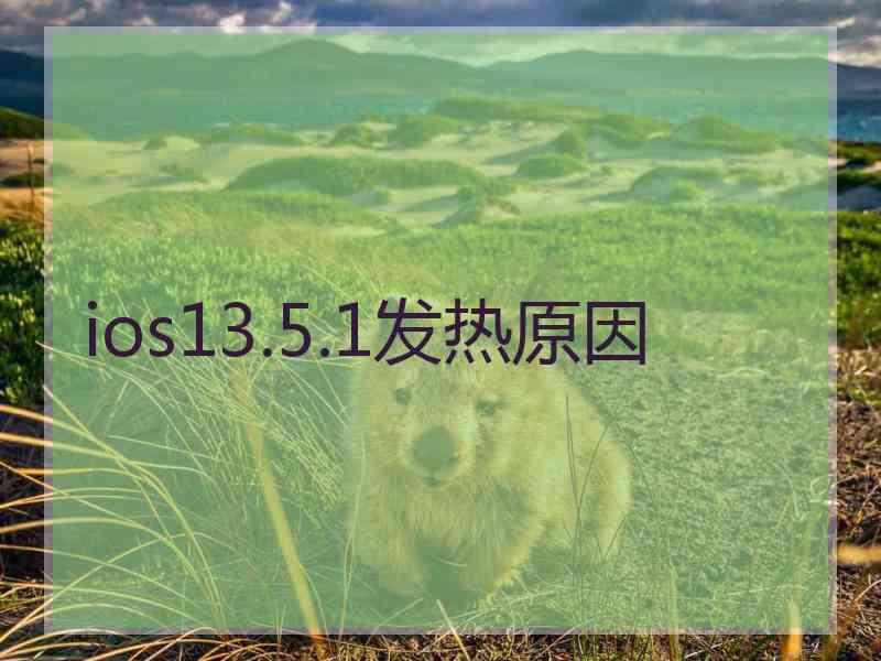 ios13.5.1发热原因