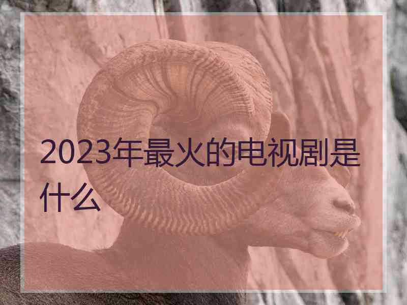 2023年最火的电视剧是什么