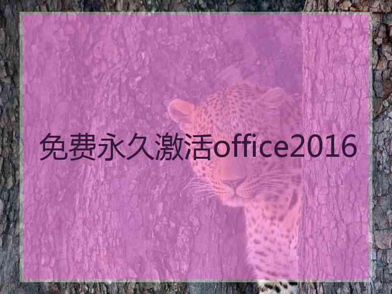 免费永久激活office2016