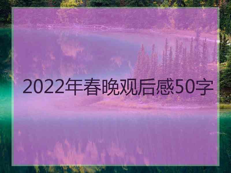 2022年春晚观后感50字