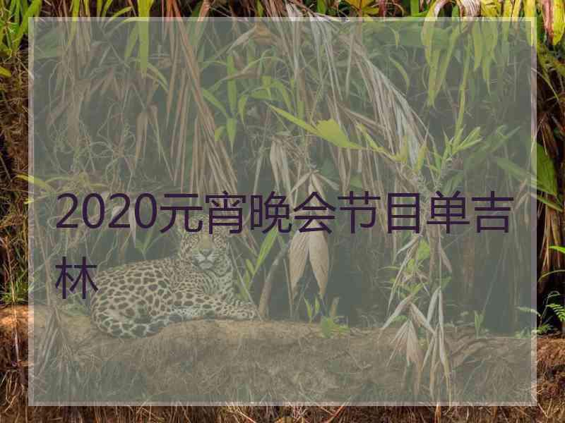 2020元宵晚会节目单吉林