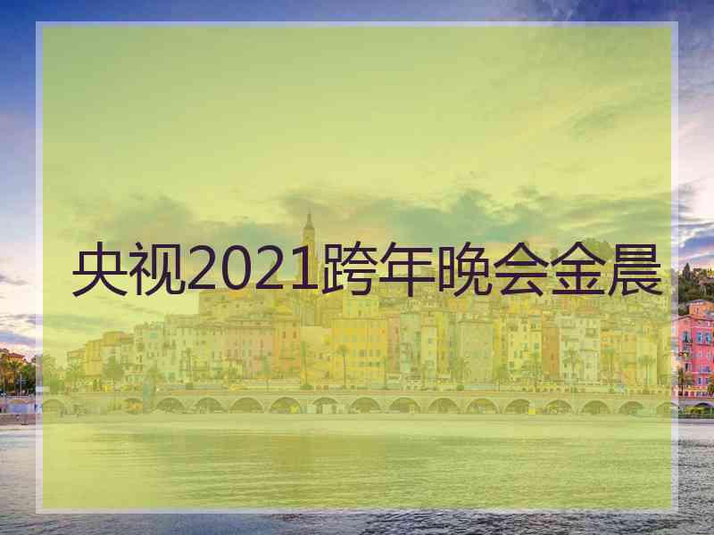 央视2021跨年晚会金晨