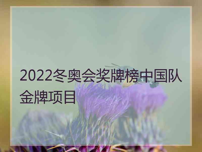 2022冬奥会奖牌榜中国队金牌项目