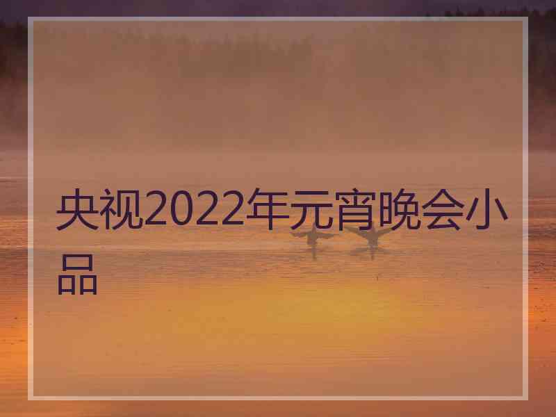 央视2022年元宵晚会小品