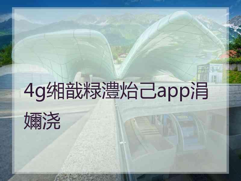 4g缃戠粶澧炲己app涓嬭浇