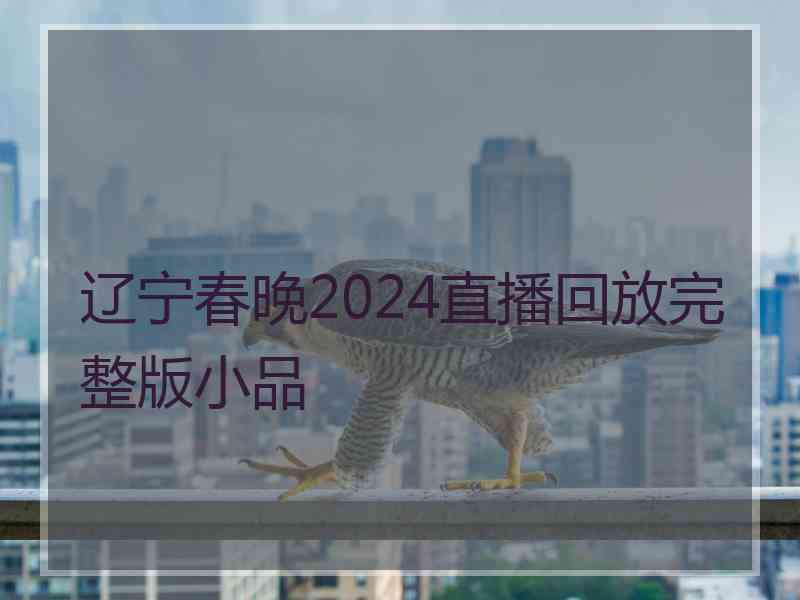 辽宁春晚2024直播回放完整版小品