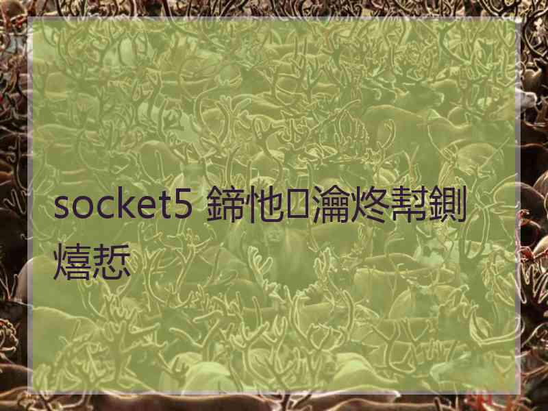 socket5 鍗忚瀹炵幇鍘熺悊