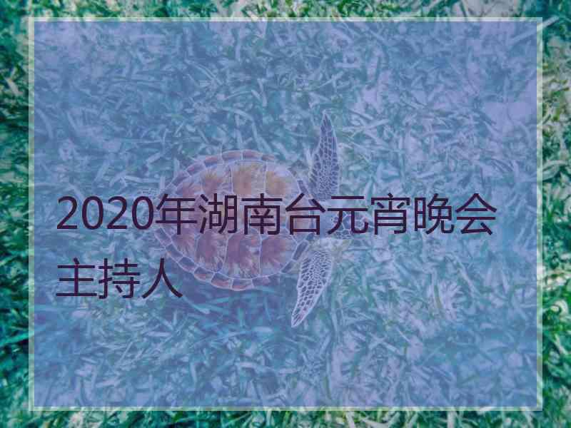 2020年湖南台元宵晚会主持人