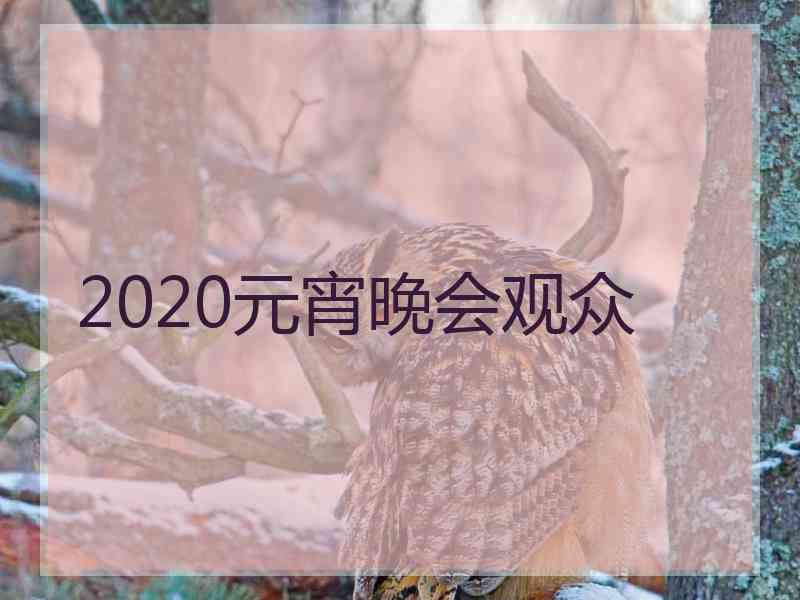 2020元宵晚会观众