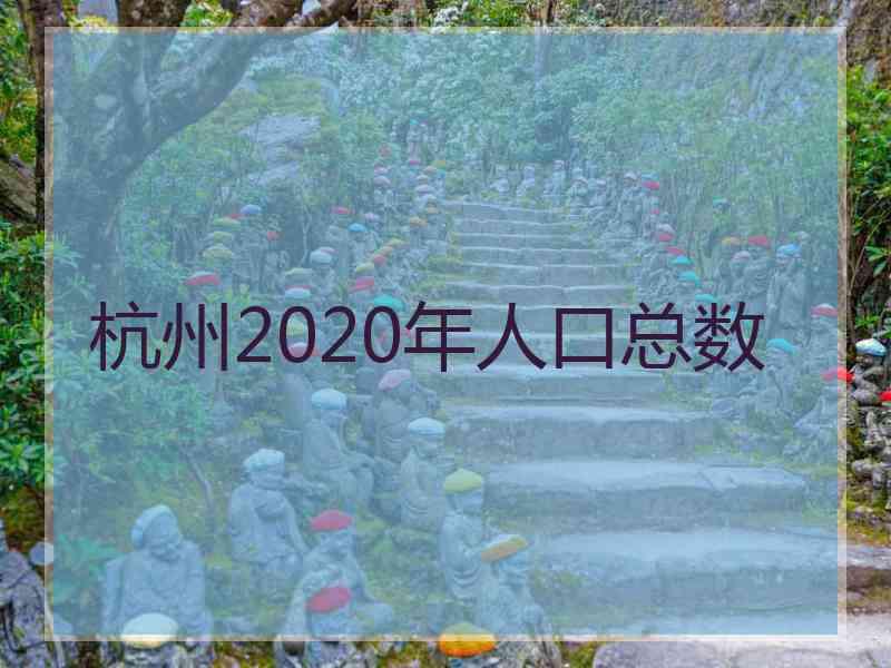 杭州2020年人口总数