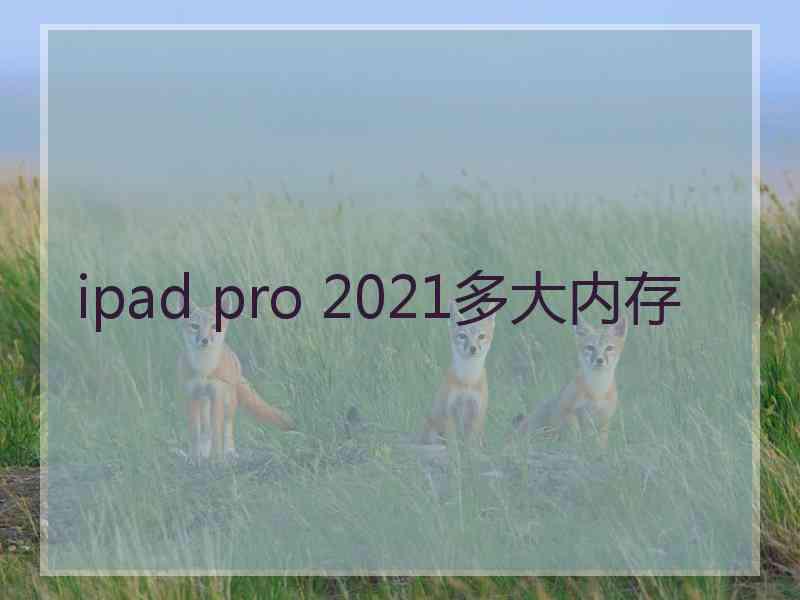 ipad pro 2021多大内存