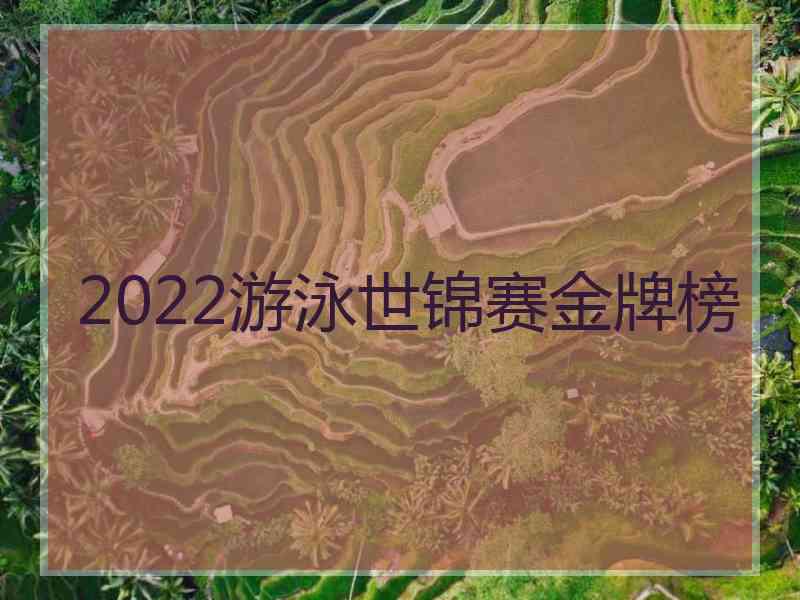 2022游泳世锦赛金牌榜