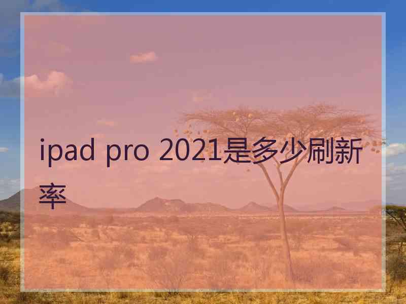 ipad pro 2021是多少刷新率