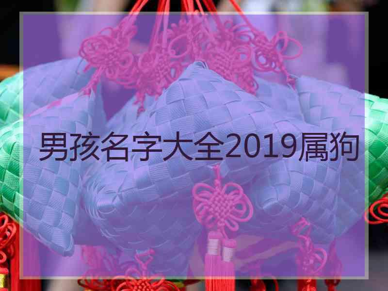 男孩名字大全2019属狗