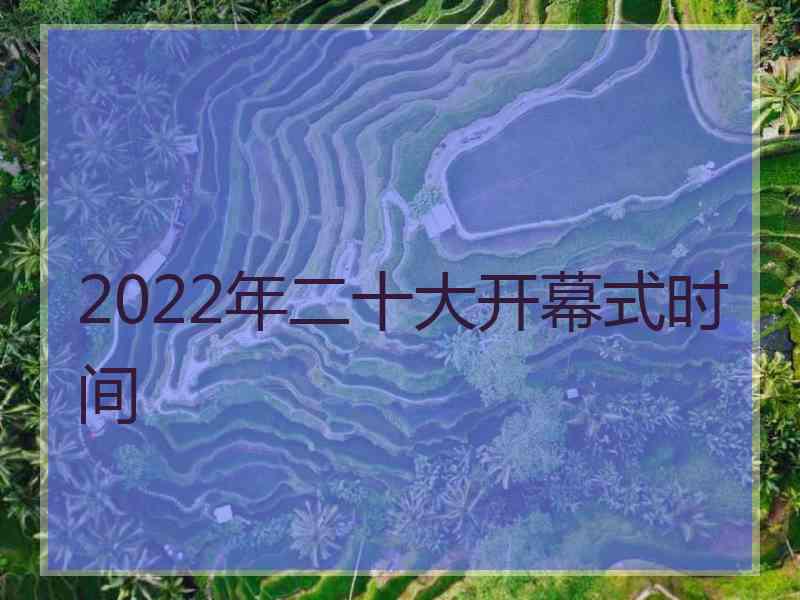 2022年二十大开幕式时间