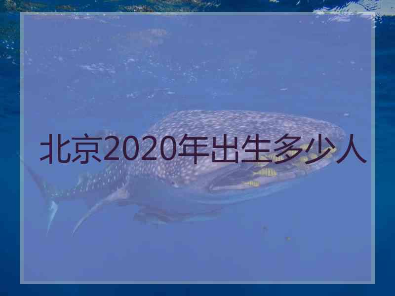 北京2020年出生多少人