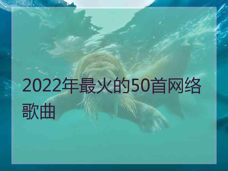 2022年最火的50首网络歌曲