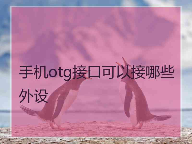 手机otg接口可以接哪些外设