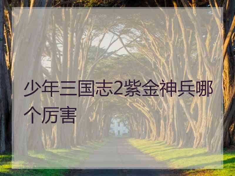 少年三国志2紫金神兵哪个厉害