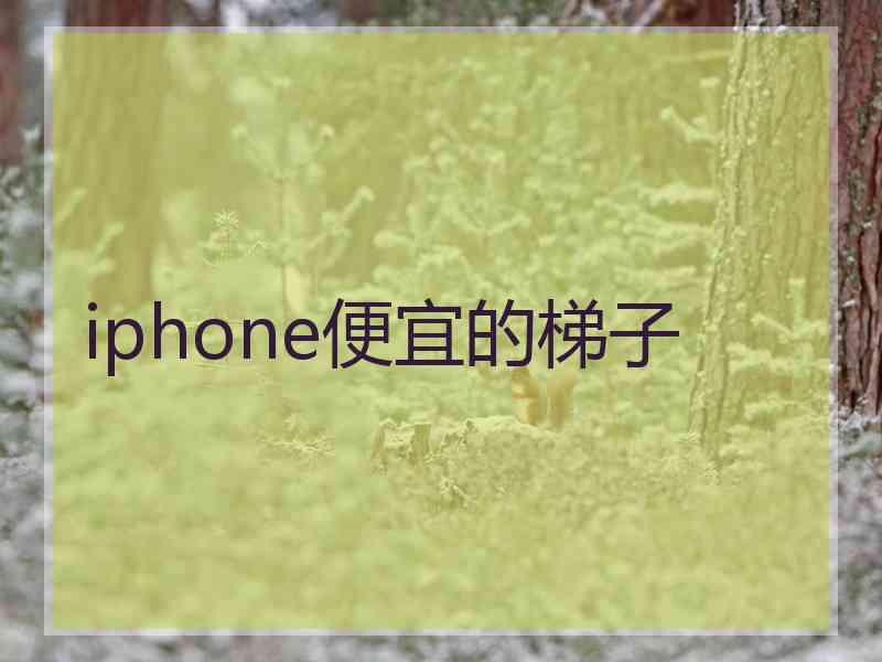 iphone便宜的梯子