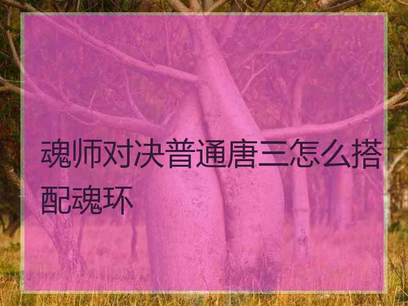 魂师对决普通唐三怎么搭配魂环