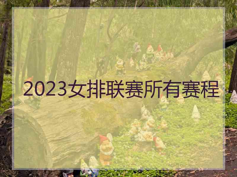 2023女排联赛所有赛程