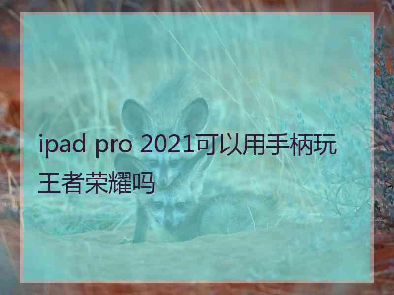 ipad pro 2021可以用手柄玩王者荣耀吗