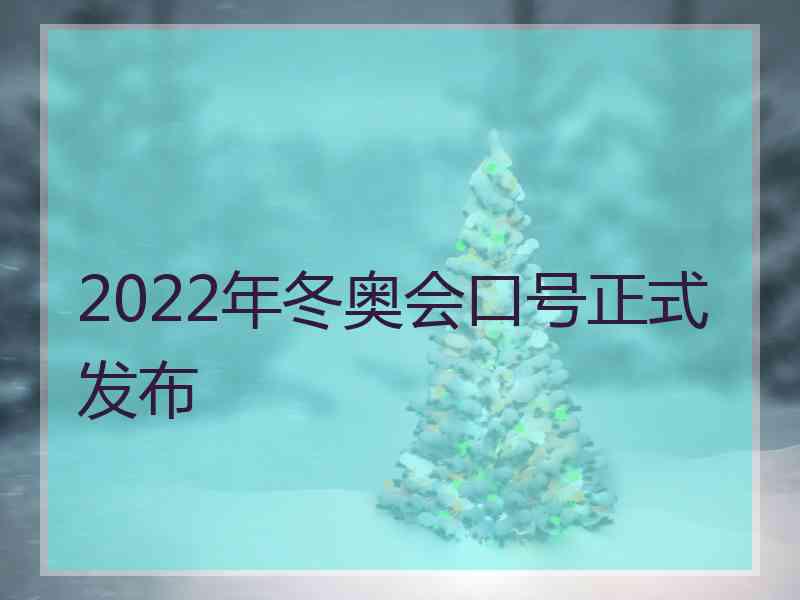 2022年冬奥会口号正式发布