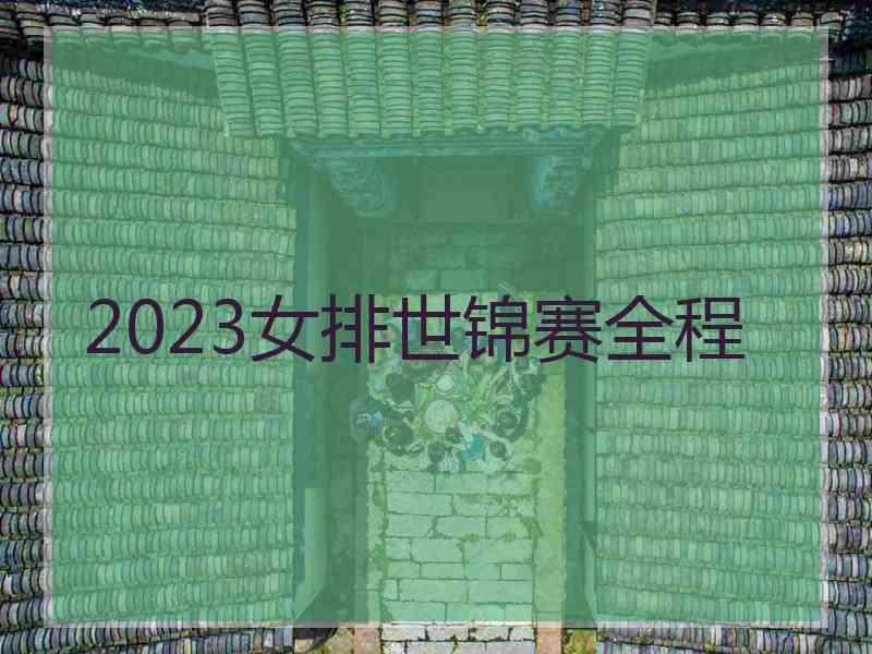 2023女排世锦赛全程