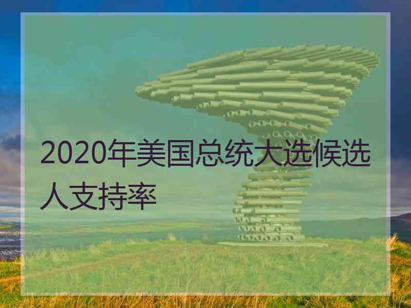 2020年美国总统大选候选人支持率