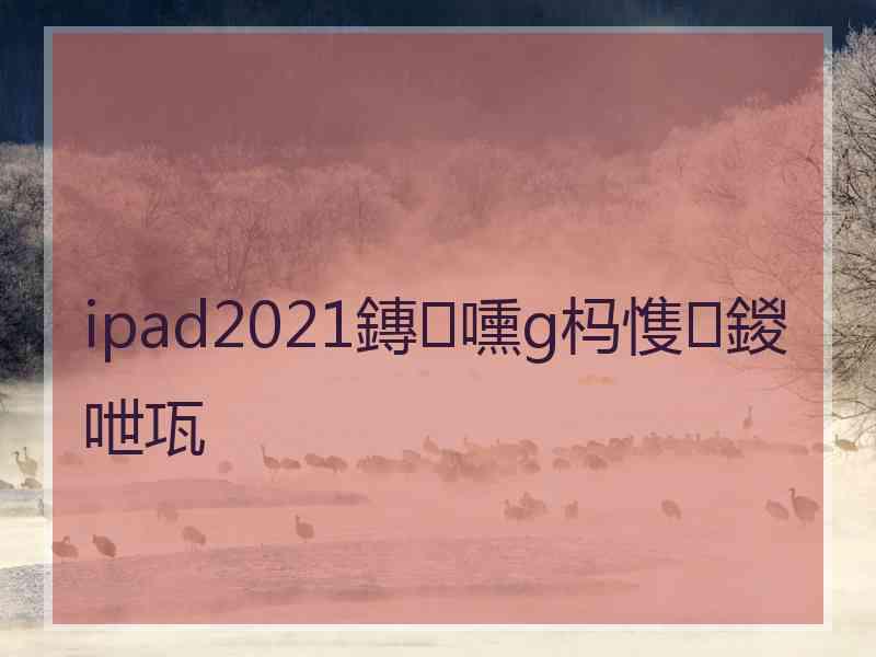 ipad2021鏄嚑g杩愯鍐呭瓨