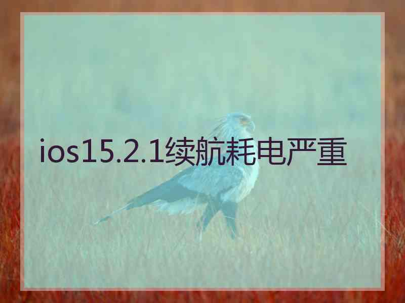 ios15.2.1续航耗电严重