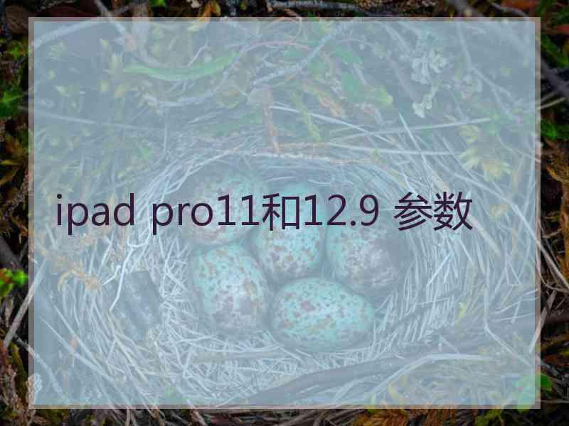 ipad pro11和12.9 参数