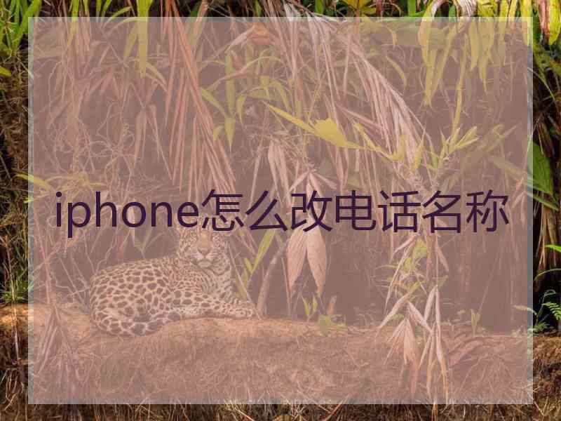 iphone怎么改电话名称