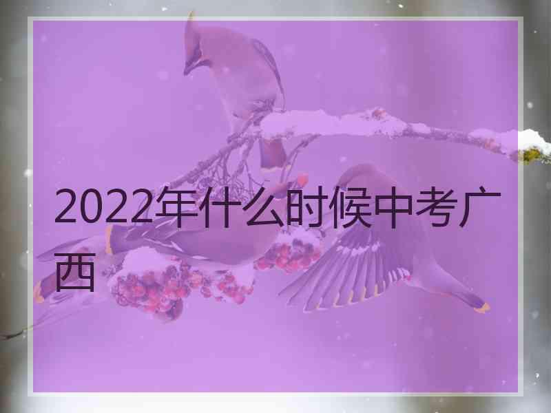 2022年什么时候中考广西