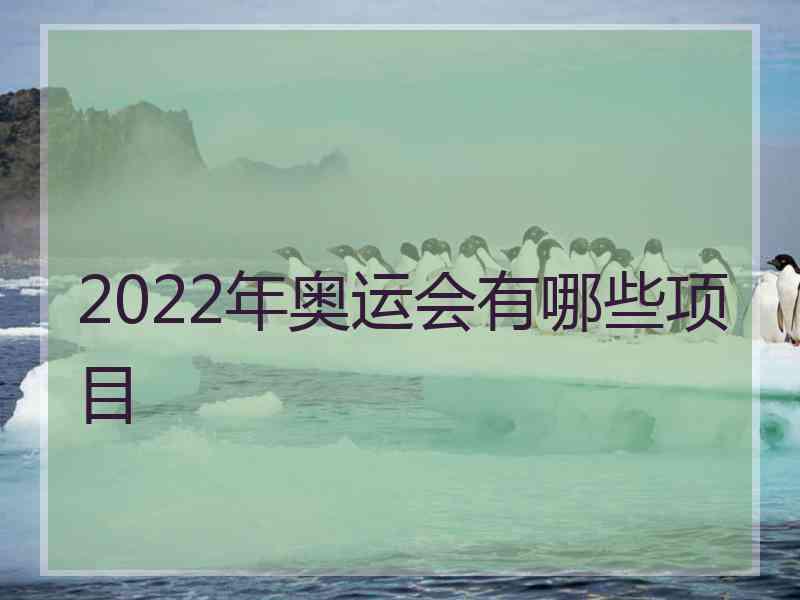 2022年奥运会有哪些项目