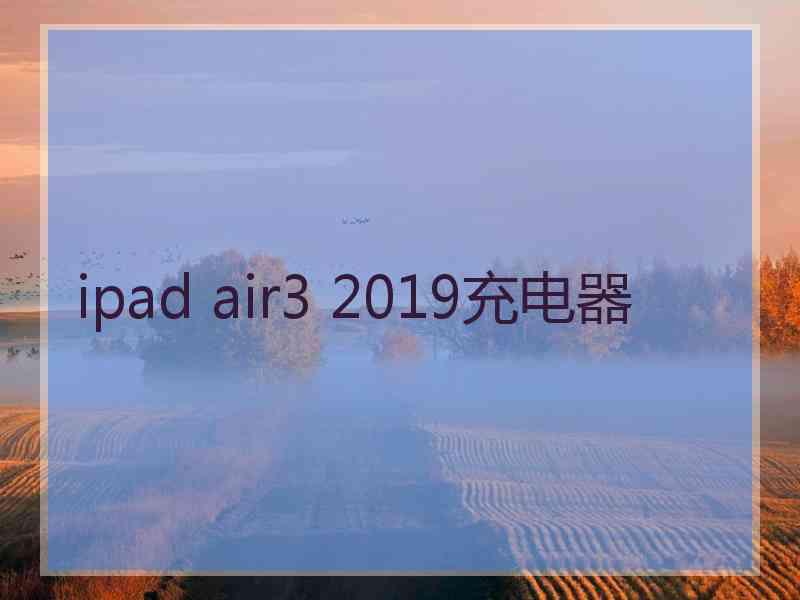 ipad air3 2019充电器