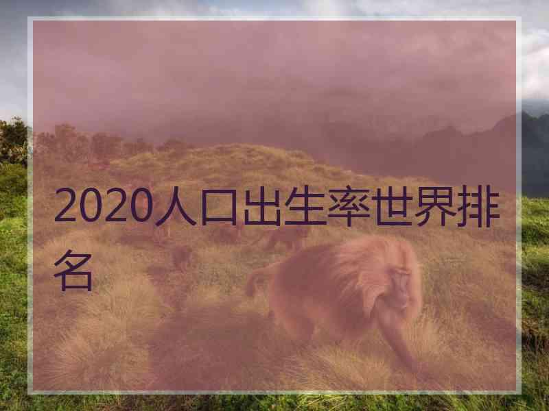 2020人口出生率世界排名