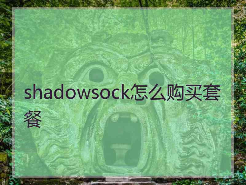 shadowsock怎么购买套餐