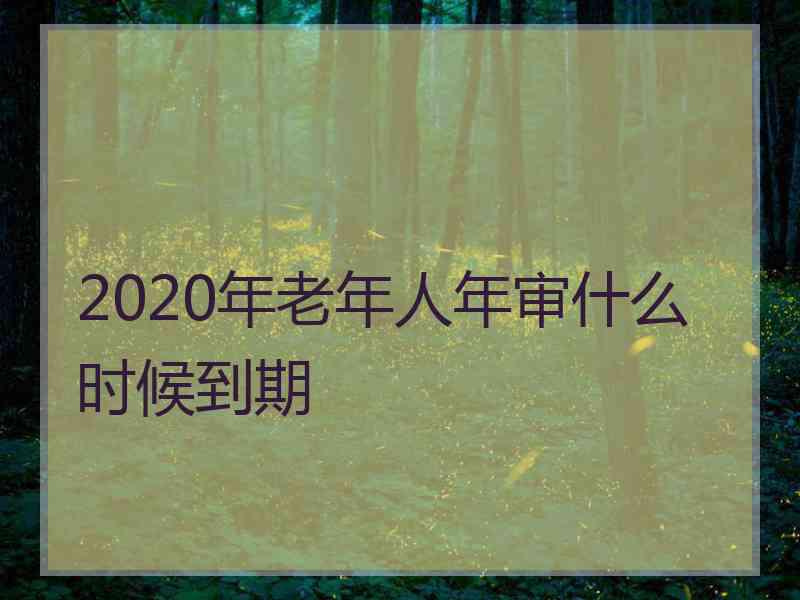 2020年老年人年审什么时候到期