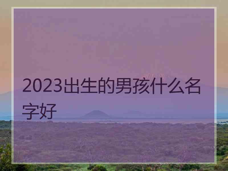 2023出生的男孩什么名字好