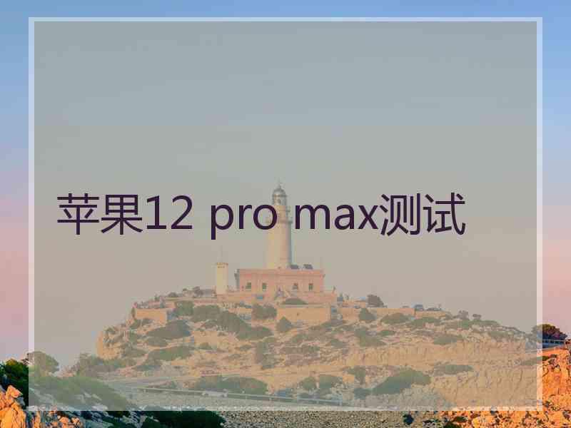 苹果12 pro max测试