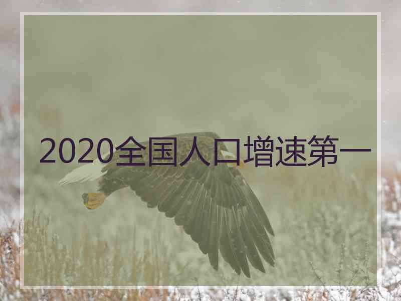 2020全国人口增速第一