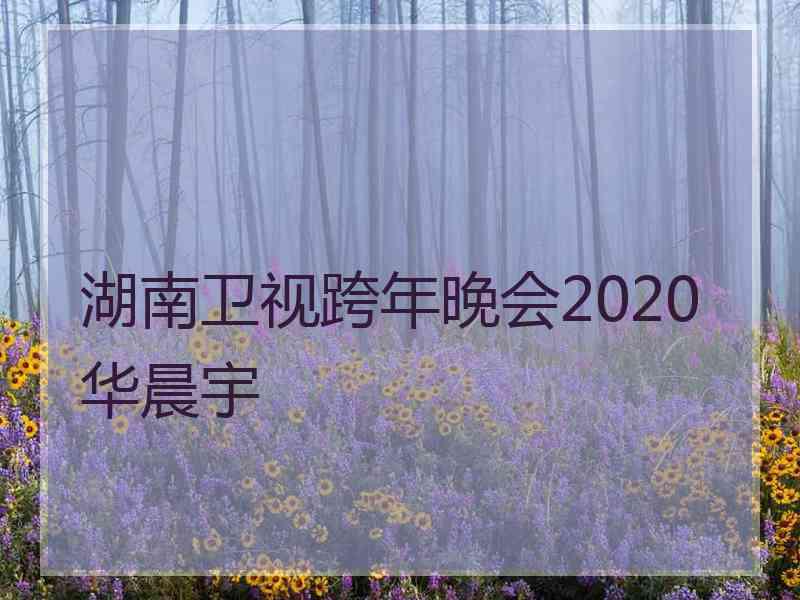 湖南卫视跨年晚会2020华晨宇