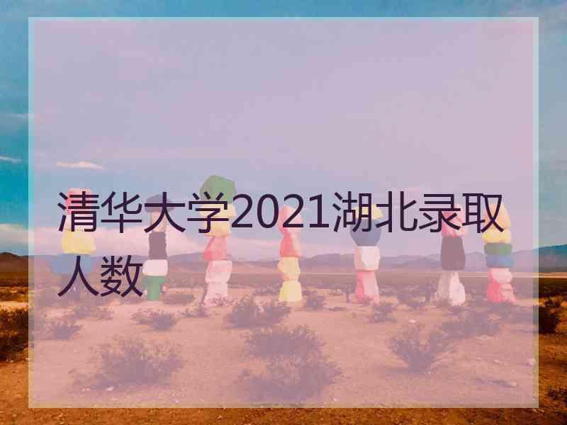 清华大学2021湖北录取人数