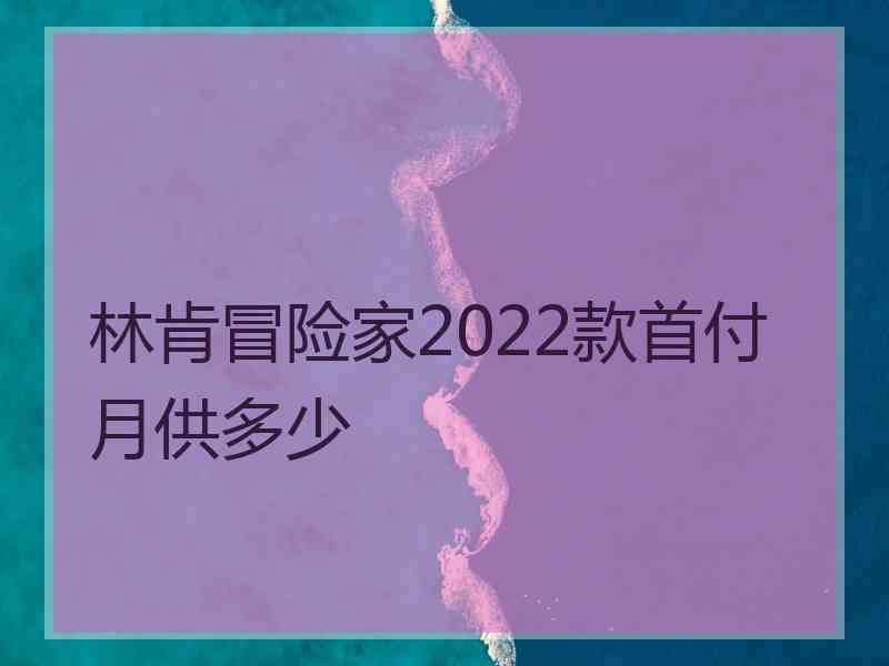 林肯冒险家2022款首付月供多少