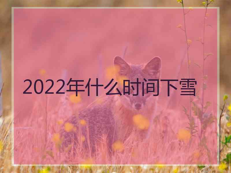 2022年什么时间下雪