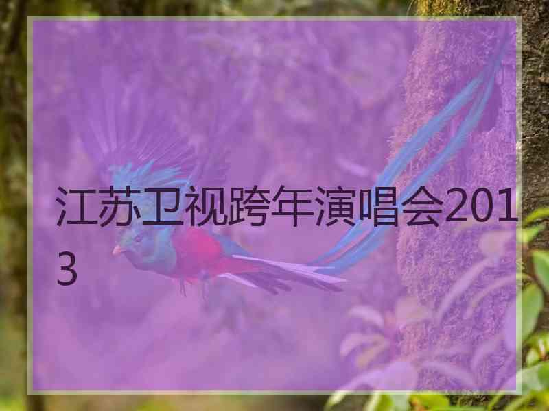 江苏卫视跨年演唱会2013