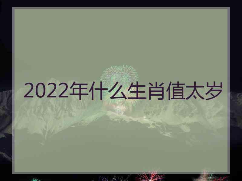 2022年什么生肖值太岁