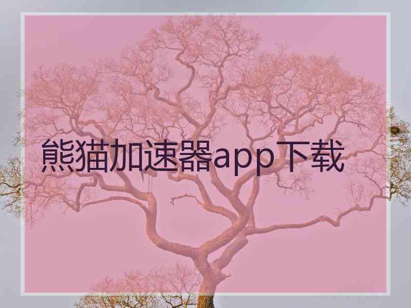 熊猫加速器app下载